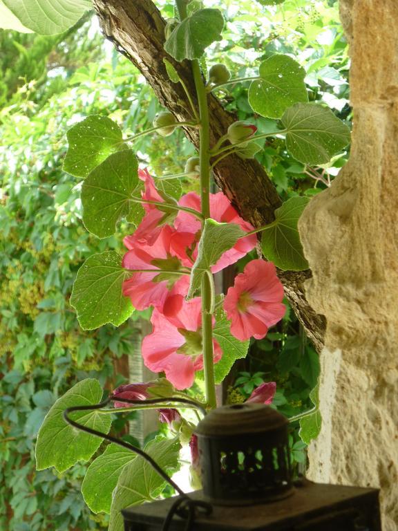 Residence Beausejour Saint-Cyprien  Room photo